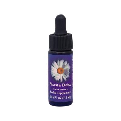 FES Organic Quintessentials Flower Essence Shasta Daisy 7.5ml